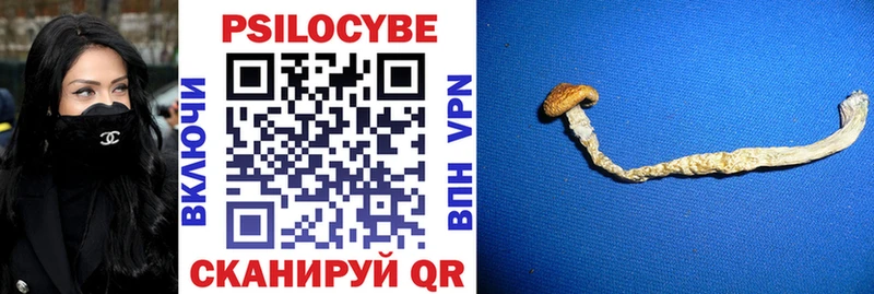 Псилоцибиновые грибы мухоморы  Тотьма 